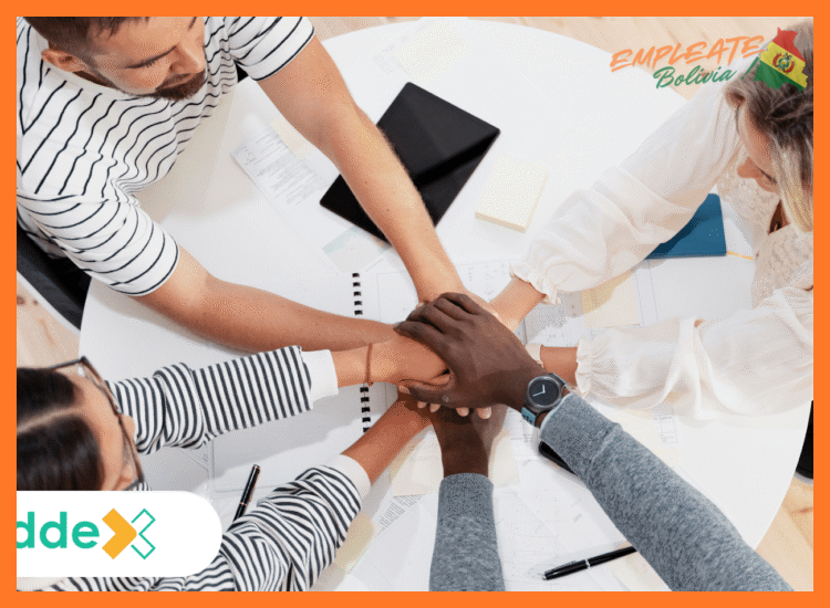 1. La Cultura y Valores que Definen Nuestro Equipo
