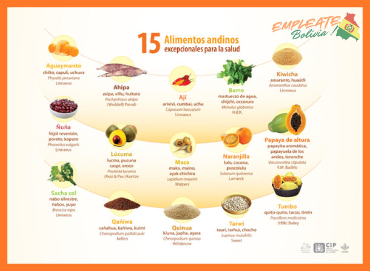 1. Nuestra Visión y el Impacto de los Productos Andinos