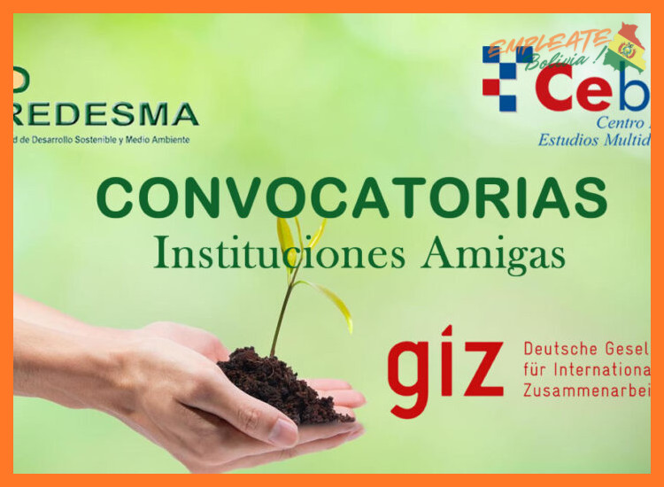 1. ¿Qué Perfiles Busca GIZ Bolivia en sus Convocatorias?