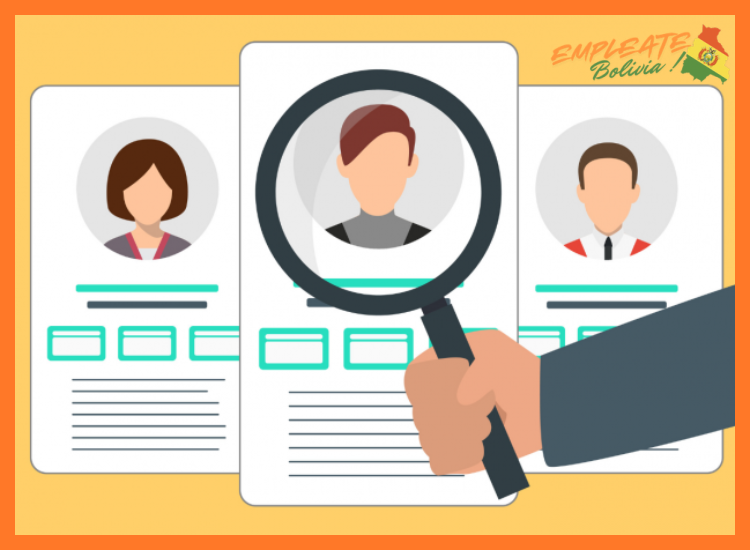 2. Áreas Clave de Oportunidad y Perfiles Buscados