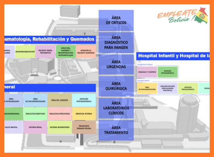 2. Áreas y Especialidades con Oportunidades de Desarrollo