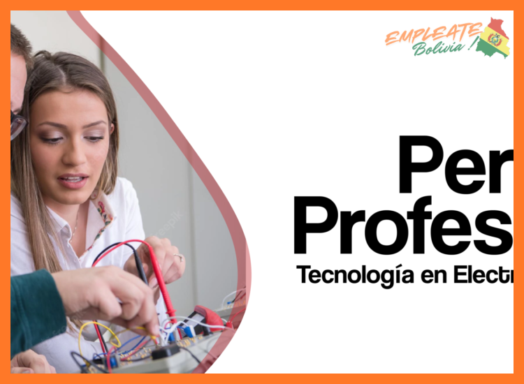2. Perfiles Profesionales que Buscamos