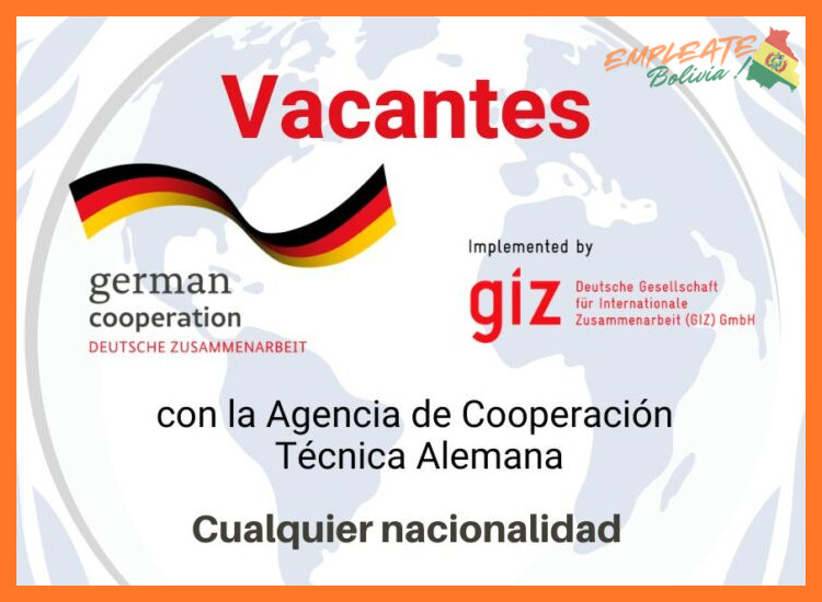 3. Cultura Organizacional y Ambiente de Trabajo en la Cooperación Alemana