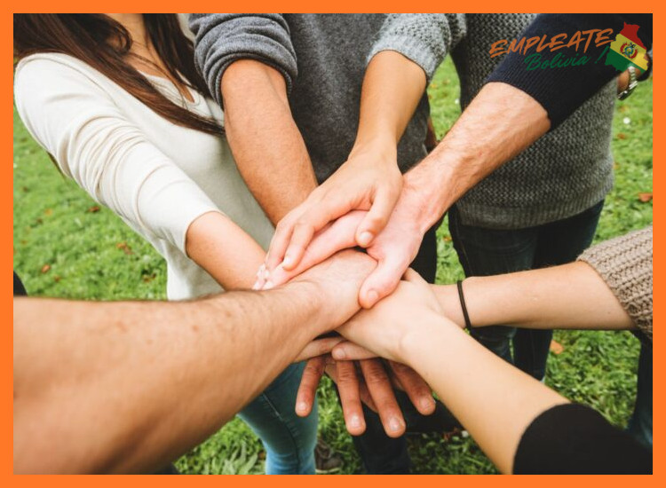 3. Modalidades de Colaboración: Profesional y Voluntariado