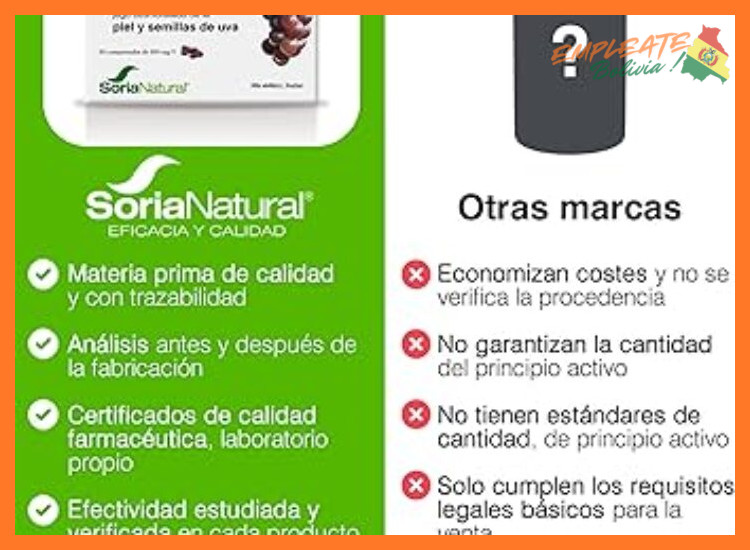 3. Proceso de Selección y Requisitos