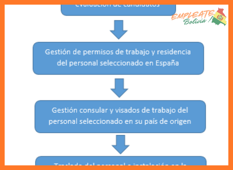 3. Proceso de Selección y Requisitos Generales