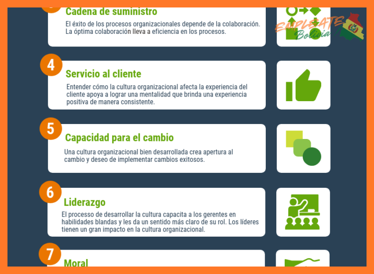 4. Beneficios y Cultura Organizacional
