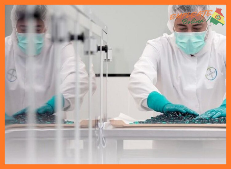 4. Desarrollo y Crecimiento Profesional