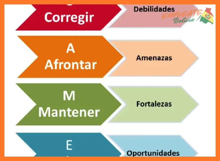 5. Cómo Postular y Mantenerte Informado