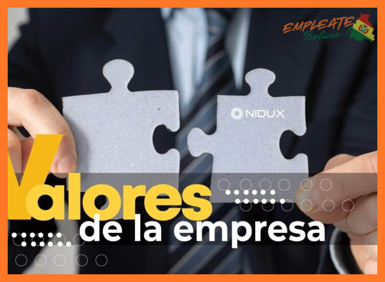 5. Cultura Organizacional y Valores Institucionales