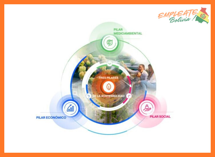 5. Innovación y Sostenibilidad: Nuestros Pilares
