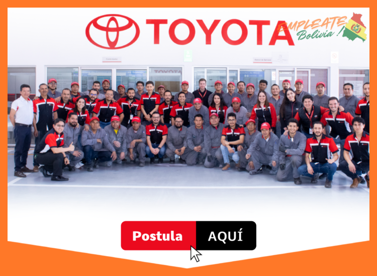 Áreas de Oportunidad y Desarrollo Profesional