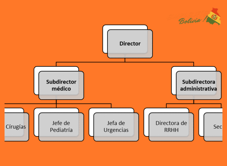 ¿Cómo se definen las responsabilidades y los diferentes niveles de cargo dentro de la operación de un supermercado como Ketal?