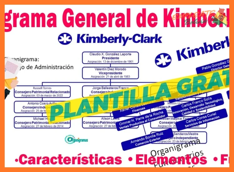 ¿Cómo se estructura la remuneración y los beneficios competitivos para los colaboradores en Kimberly-Clark Bolivia?