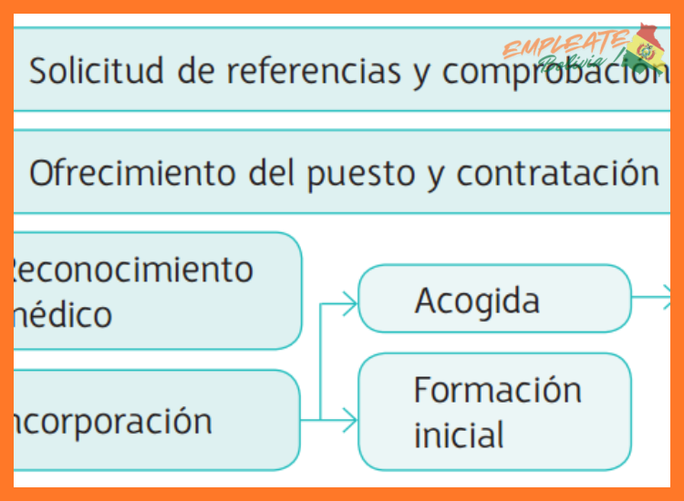 ¿Cuál es el proceso de selección después de enviar mi solicitud?