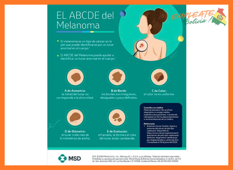 ¿Cuál es la cultura corporativa en Roche Diagnósticos Bolivia?