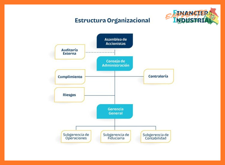 ¿Cuál es la estructura corporativa y la composición accionaria del Grupo Fidalga?