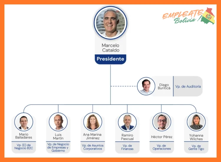 ¿Cuál es la estructura de propiedad o el grupo empresarial propietario de Tigo Bolivia?