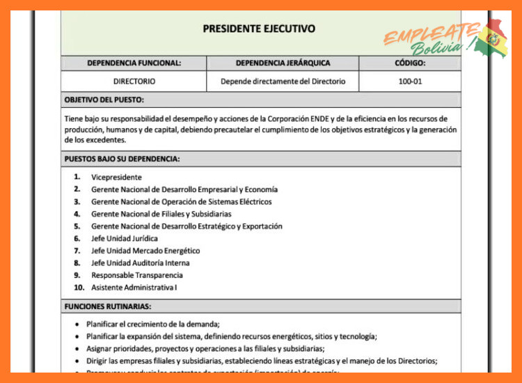 ¿Cuáles son las funciones y proyectos principales a cargo de la filial ENDE ANDINA?