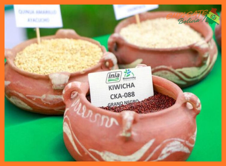 ¿Cuáles son los principales productos andinos, como la quinua o la kiwicha, que 'Productos Andinos (Nutrición)' desarrolla y comercializa por su alto valor nutricional?