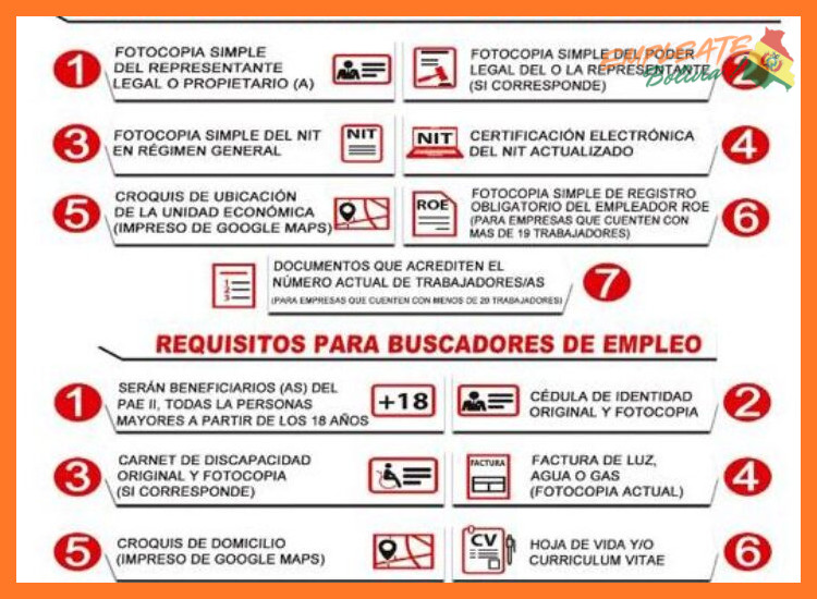 ¿Cuáles son los requisitos generales para postular a una vacante en la OEI Bolivia?