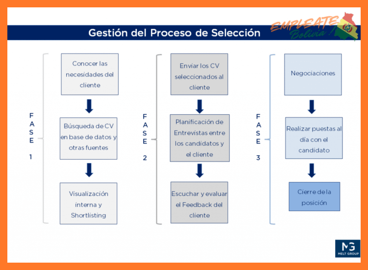 Proceso de Selección y Postulación