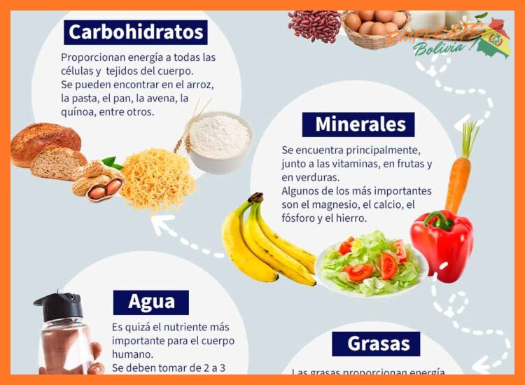 ¿Qué características nutricionales específicas (alto contenido en proteínas, minerales, etc.) hacen únicos a los productos de la zona andina que ofrece la empresa?