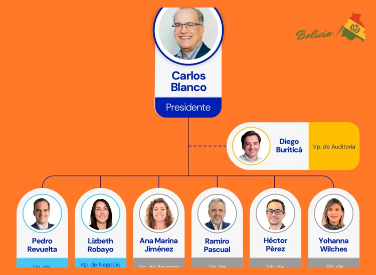 ¿Qué grupo empresarial o holding es el accionista mayoritario y responsable de la operación de Tigo en Bolivia?
