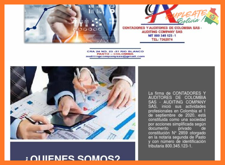 ¿Qué portafolio de servicios de auditoría, consultoría, impuestos y asesoría estratégica ofrece EY a sus clientes en Bolivia?