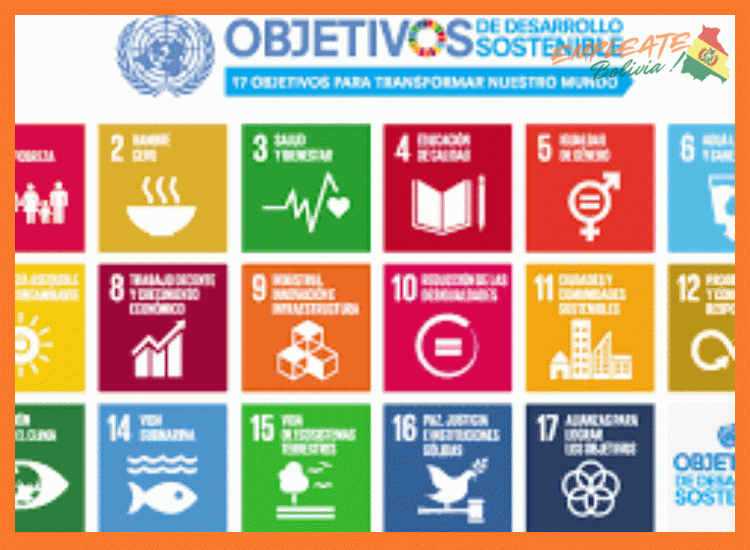 ¿Qué requisitos de idioma son necesarios para colaborar con Médicos Sin Fronteras, tanto para proyectos en Bolivia como internacionales?