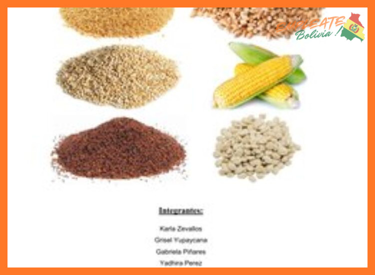 ¿Qué tipo de perfil profesional busca Productos Andinos en el área de Nutrición?