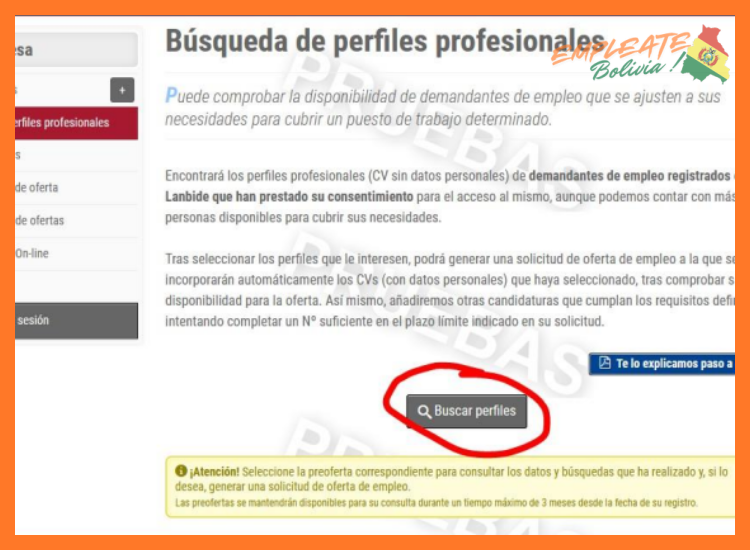 ¿Qué tipo de perfiles profesionales busca ENDE en su convocatoria Trabaja con Nosotros?