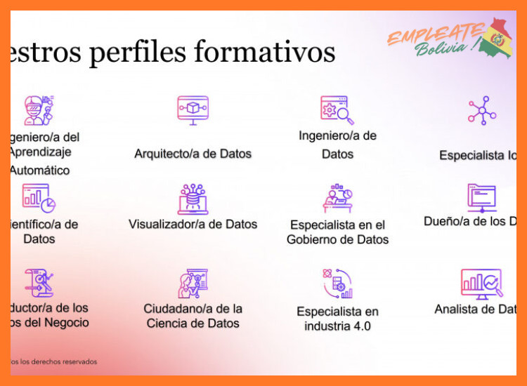 ¿Qué tipo de perfiles profesionales busca generalmente YPFB?
